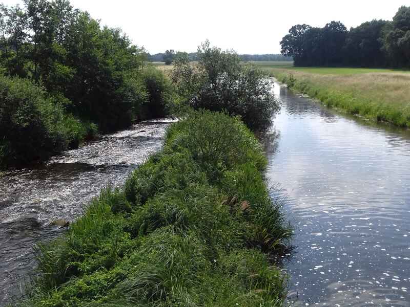 Große Aue bei Steyerberg