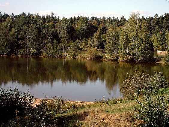 Großer Jägersee