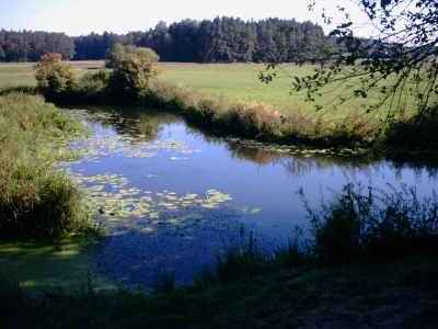 Sulzach