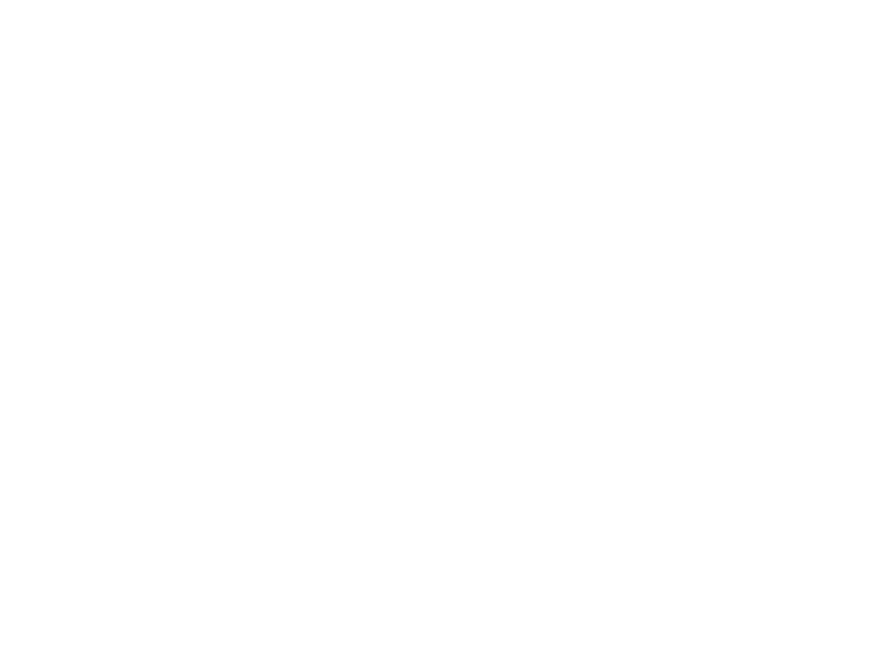 Schotterteich Auschneider