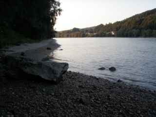 Donau - Stauraum Wilhering und Weideterrecht