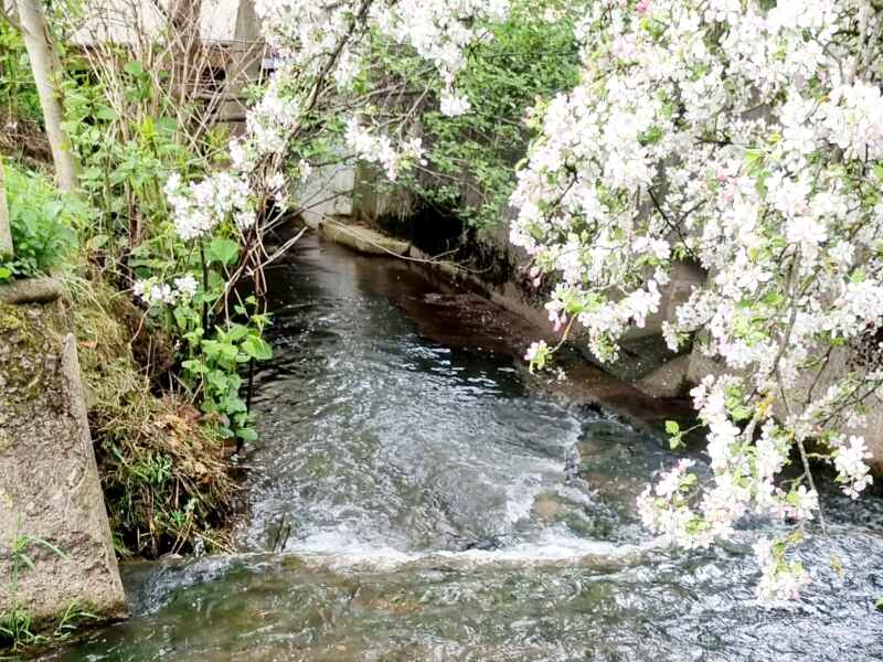 Nesselbach