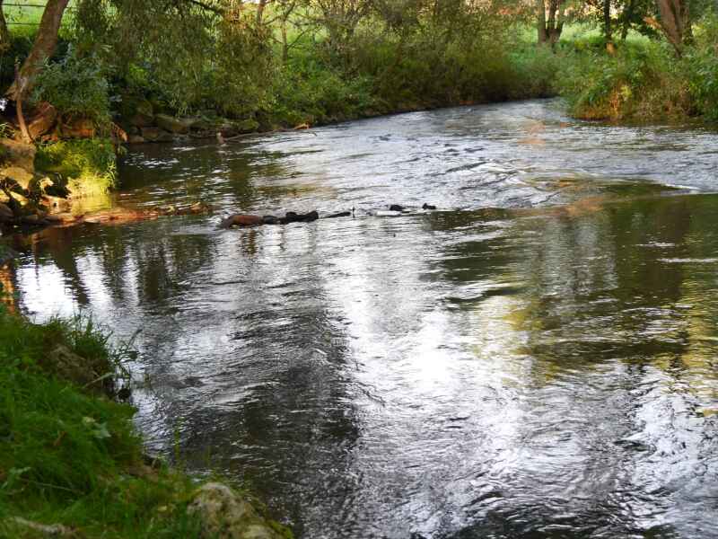 Die Diemel in Helmarshausen