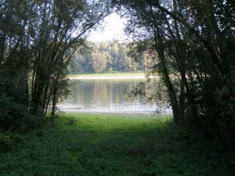 Donau Ottensheim II