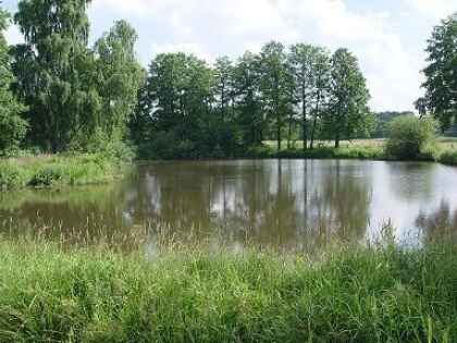 Altarm Moormarsch (oberhalb)