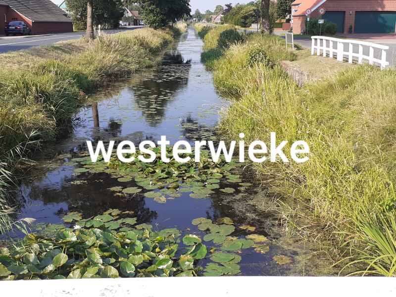 Westerwieke