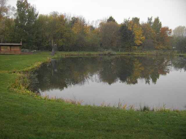 Hofteich Stedten (9-150-13)