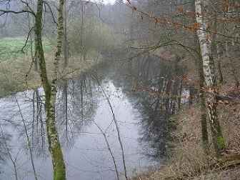 Altarm Märchenwald (unterhalb)
