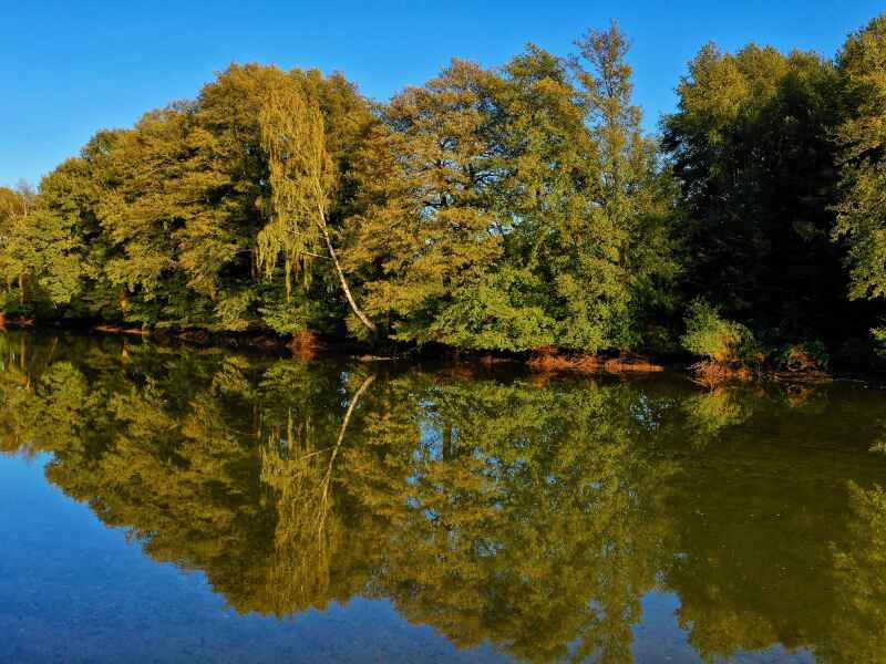 Schindelweiher bei Hirschau