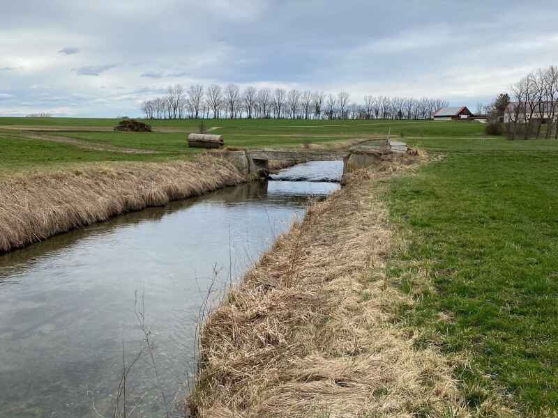 Verlorener Bach Pestenacker