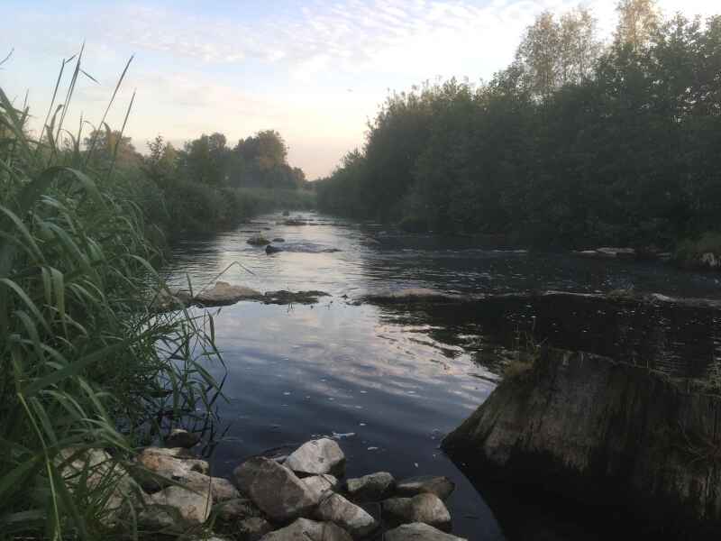 Vechte bei Wettringen