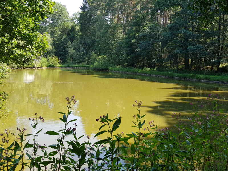 Wallersbach 1