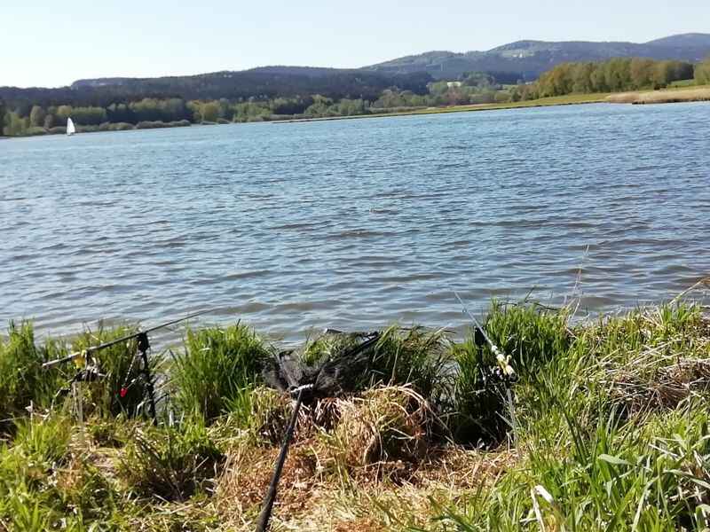 Silbersee bei Waldmünchen (Staatliches Fischereigewässer)