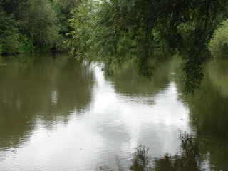 Leine (Fischereiverein Hannover)