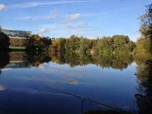 Rauhwiesensee Sinsheim