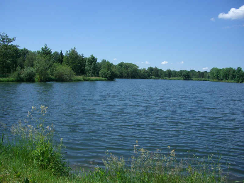 Steffl See
