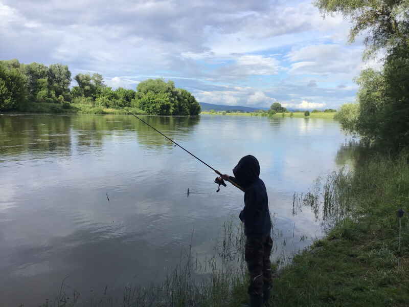 Donau bei Pfatter