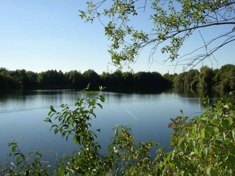 Gleidingen