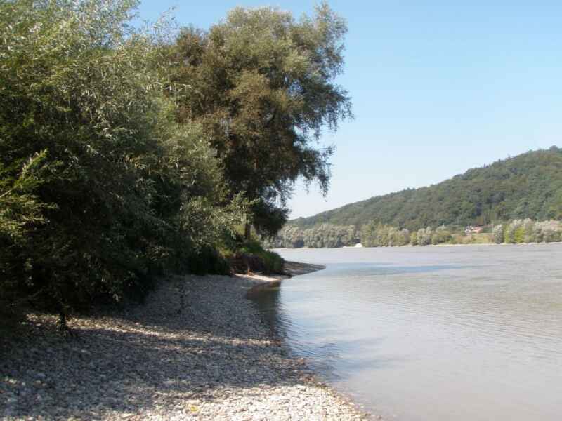 Donau Stadtwasser - Linz