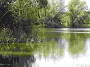 Vosskortsee Ladbergen