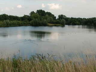 Röhrser Teich