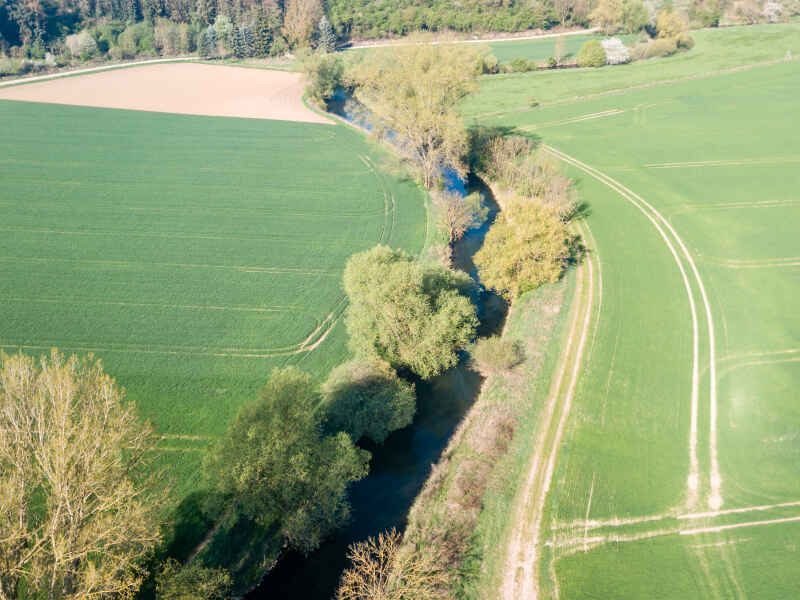 Leine (Northeim)