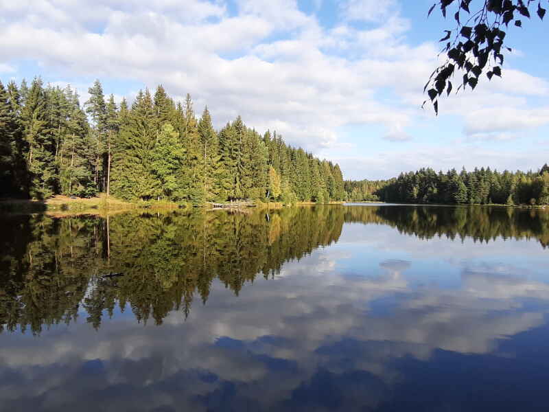 Großer Markgrafenteich M1