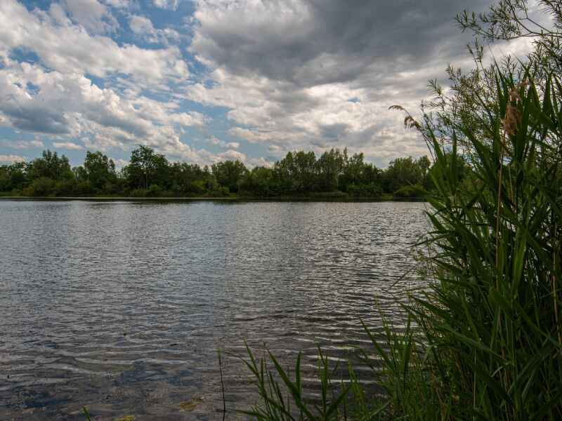 Kiesteich großer Behrenssee