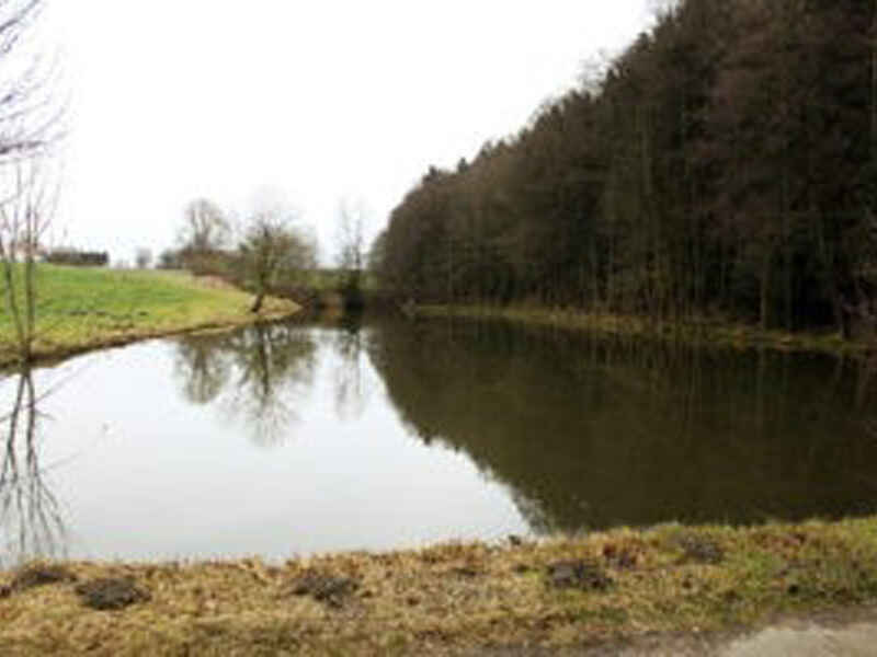 Maillinger Weiher 1+2