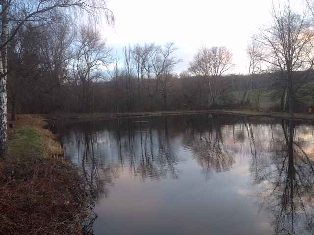 Weiher 4