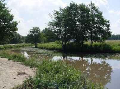 Altarm Thees (oberhalb)