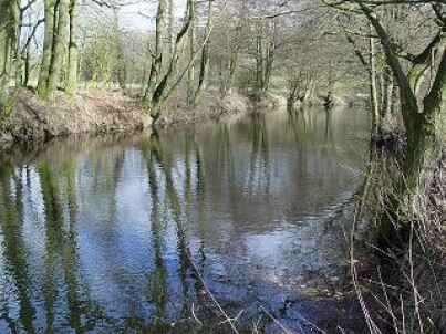 Altarm Aschenbeck (unterhalb)