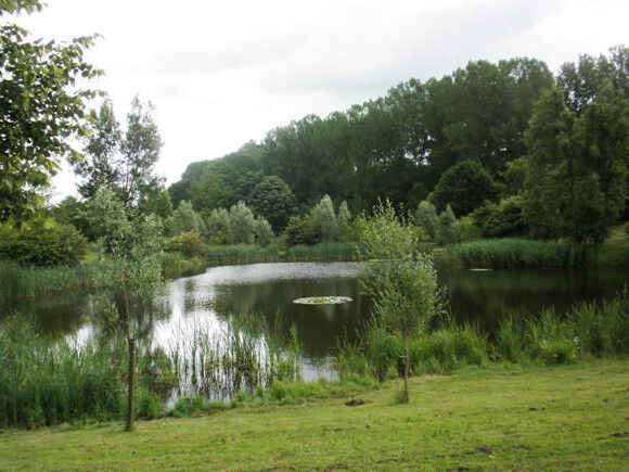 Helmsdorfer Teiche (9-150-19)