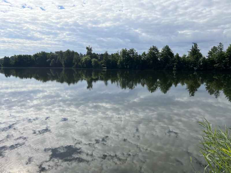 Wolf-Kößnachweiher Nr. 14