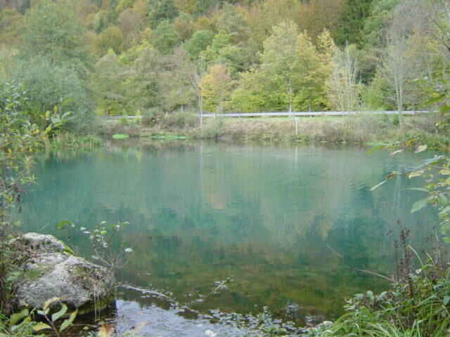Forellengewässer bei Riedenburg (F1-F2)