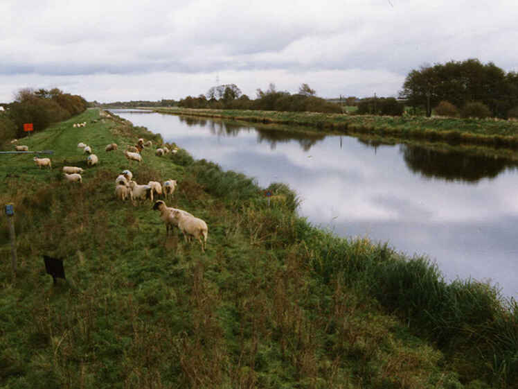 Sauteler Kanal (Randkanal)