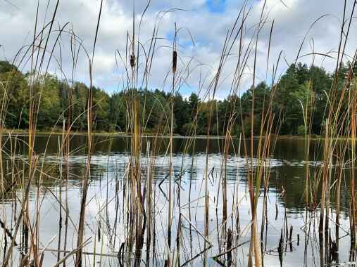 Heidesee Müden/Ö.