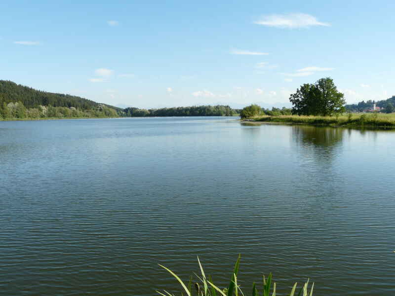 Bachtelsee