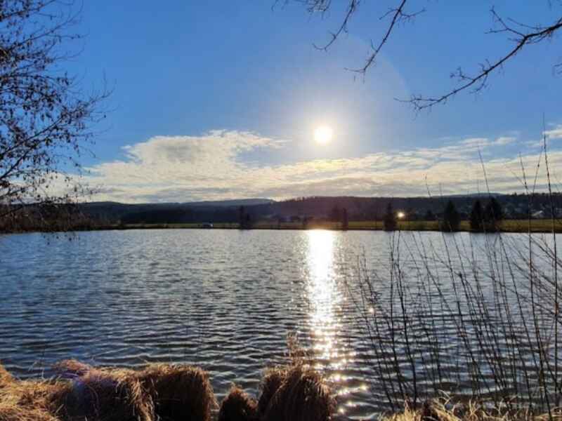 Rödicher Teich (Schnepfenthal)