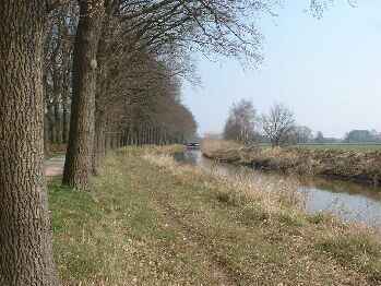 Kleine Hase