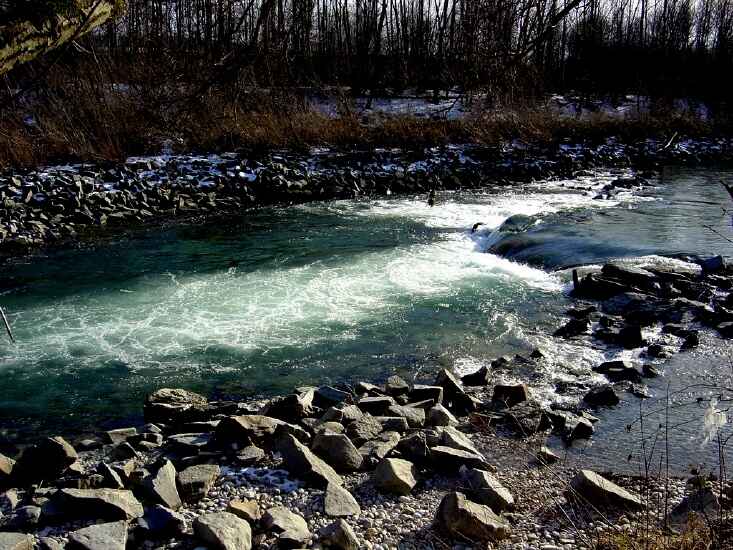 Traun Stammwasser (ohne Fliegenstrecke)