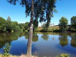 Fiedlerteich Teuschnitz