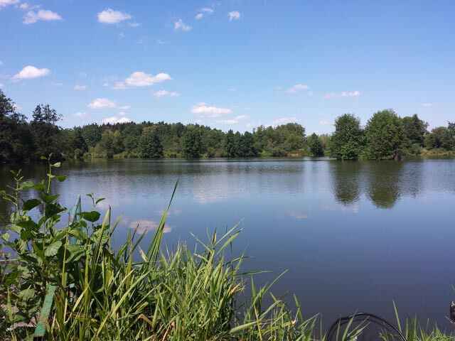 Kiesgrube Au (B40)
