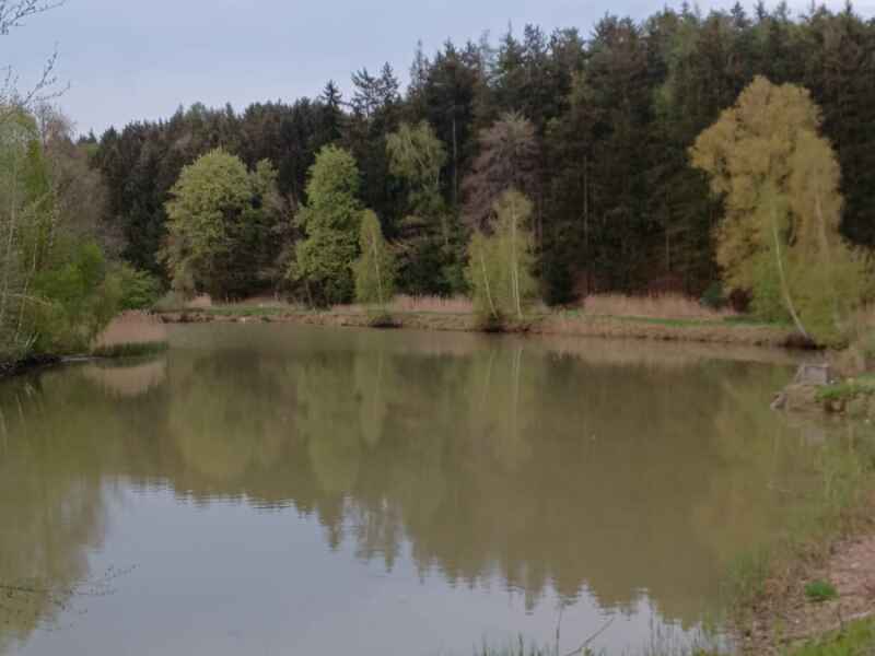 Willersdorfer Weiher