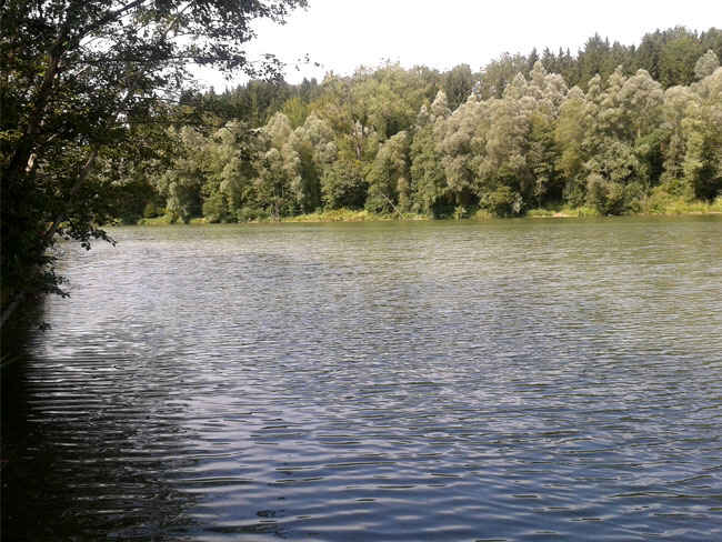Hürdenteich (8)