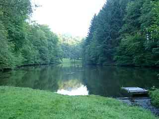 Oberer Waldsee