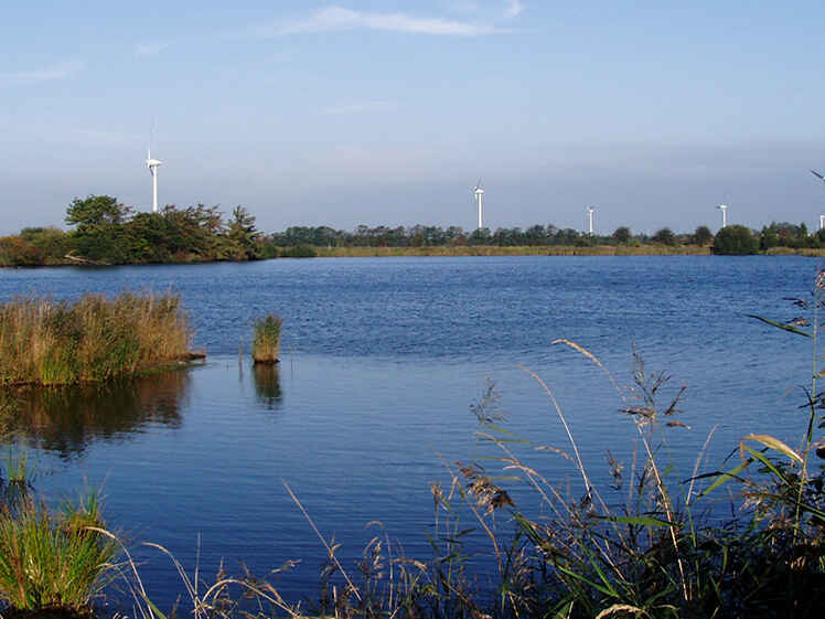 Kleiner Teich Neermoor