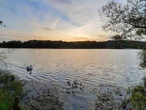Seeweiher
