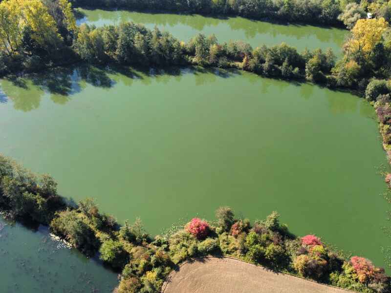 Steinfürther-Weiher