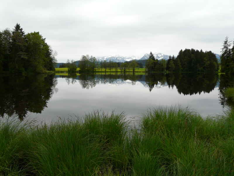 Neuweiher